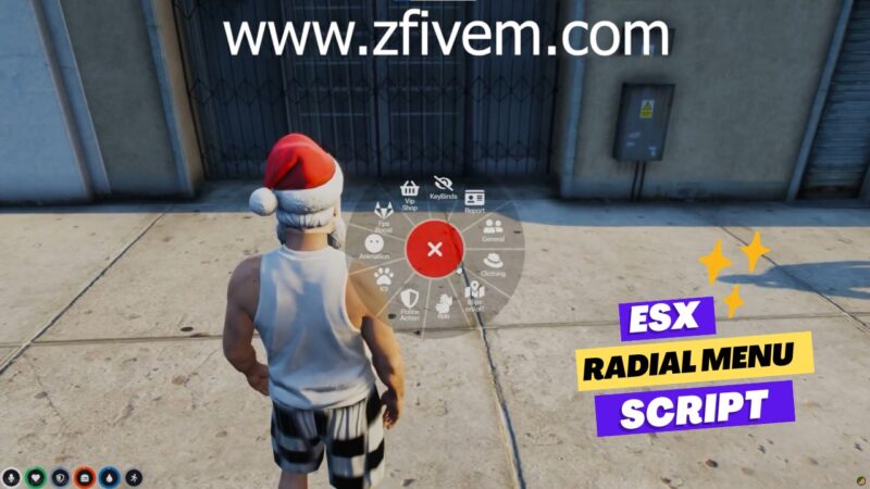 Esx Radial Menu Script