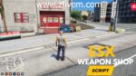 ESX Weapon Shop Script