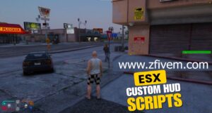 Esx Custom HUD Scripts
